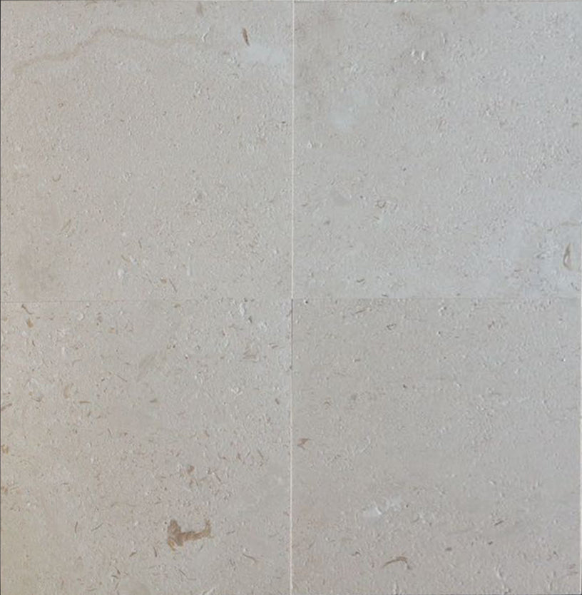 Full Tile Sample - Shell Stone Shellstone Tile - 24" x 24" x 1/2" Brushed