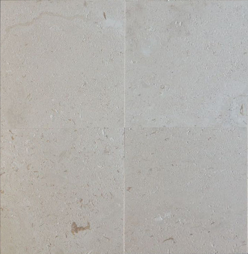 Shellstone Ivory Shellstone tile and shellstone pavers for a shellstone pool deck ...