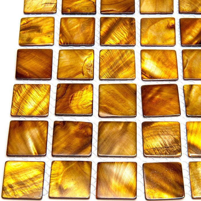 Coco Shell Mosaic Mir Shell Cocoa Beach Polished Shell Mosaic | Lowest Price — Stone ...