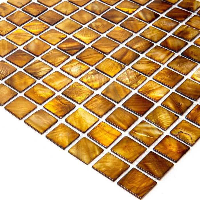 Coco Shell Mosaic Mir Shell Cocoa Beach Polished Shell Mosaic | Lowest Price — Stone ...
