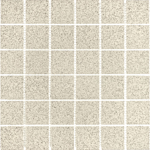 Source Salt & Pepper Cider W71SOURCISP1212MO2