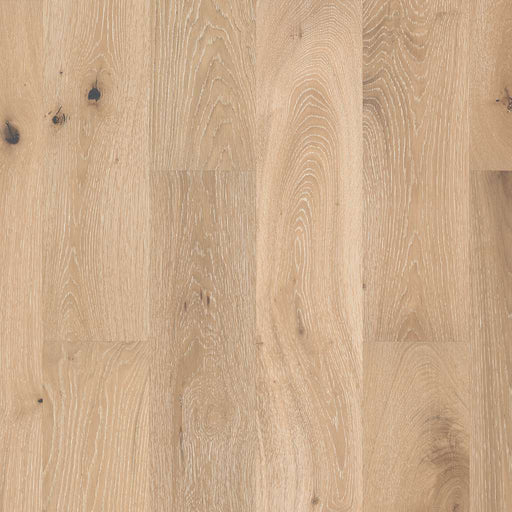 Castlewood Oak Tapestry SW485-00146