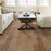 Sequoia Hickory 5 Bravo SW539-02002 ScufResist Platinum