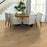 Yukon Maple 5 Gold Dust Wood SW547-01001