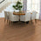 Albright Oak 3.25 Caramel ScufResist Platinum Wood