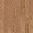 Albright Oak 3.25 Caramel SW581-00223