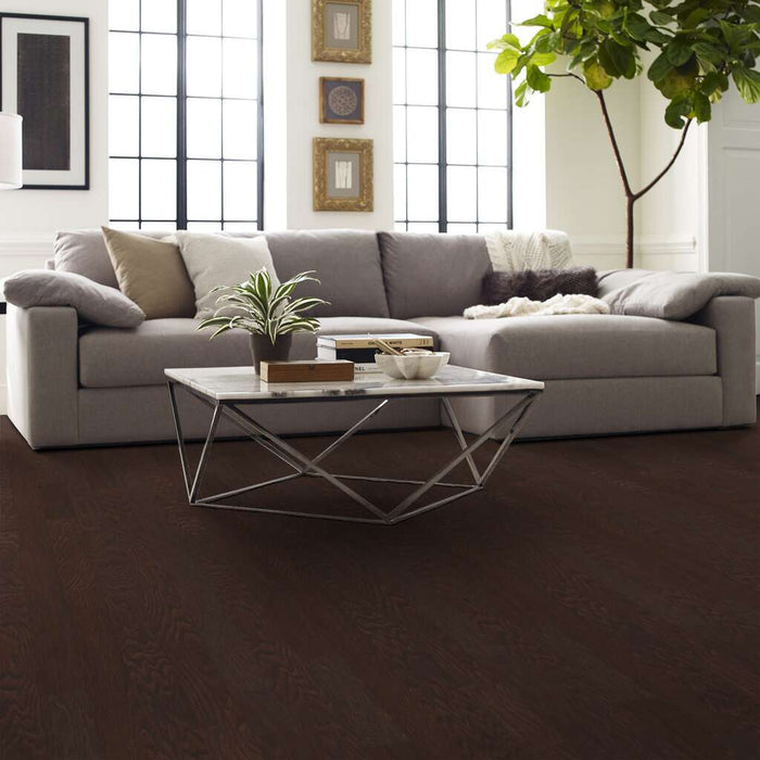 Albright Oak 3.25 Coffee Bean SW581-00938 ScufResist Platinum