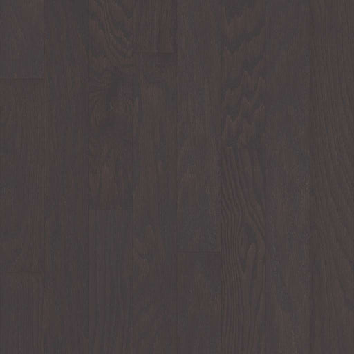 Albright Oak 3.25 Charcoal SW581-05013