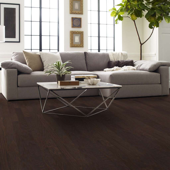 Albright Oak 3.25 Chocolate SW581-07011 ScufResist Platinum