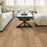 Empire Oak Plank Hearst UV Aluminum Oxide Wood