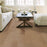 Riverstone Sunkissed SW593-01008 ScufResist Platinum