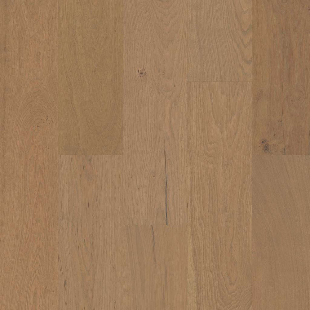 Couture Oak Crema SW689-02034