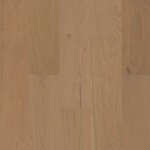 Couture Oak Crema SW689-02034