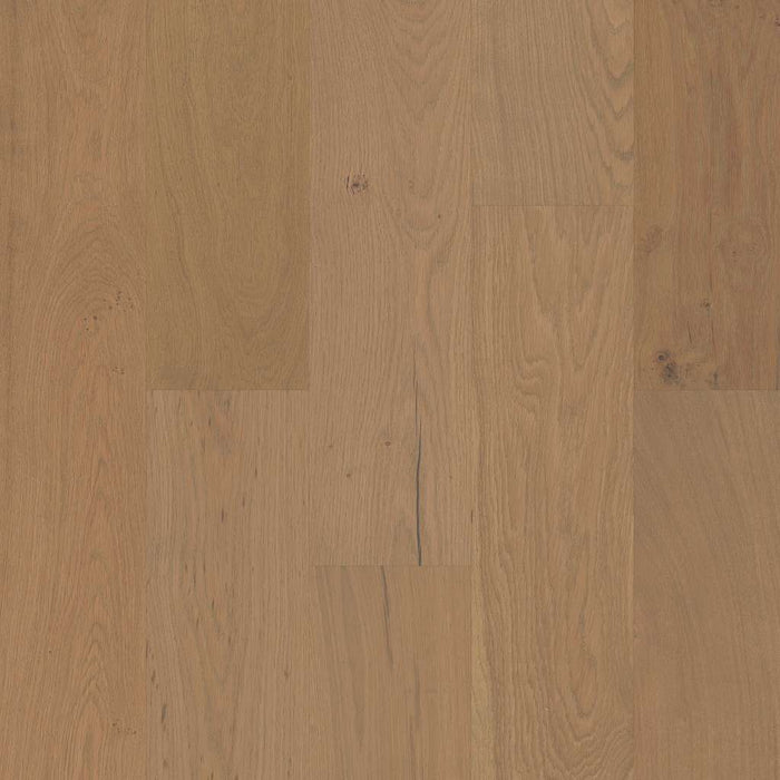 Couture Oak Crema SW689-02034