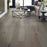 Alpine Hickory Dogwood SW710-05081 ScufResist Platinum