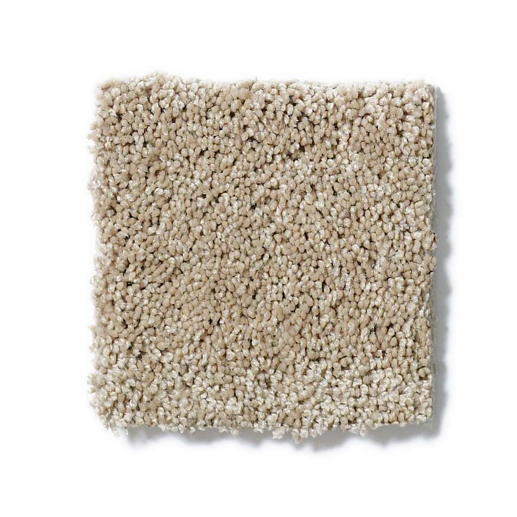 Shaw Foundations Keen Senses I 00188 Safari Textured Nylon Carpet