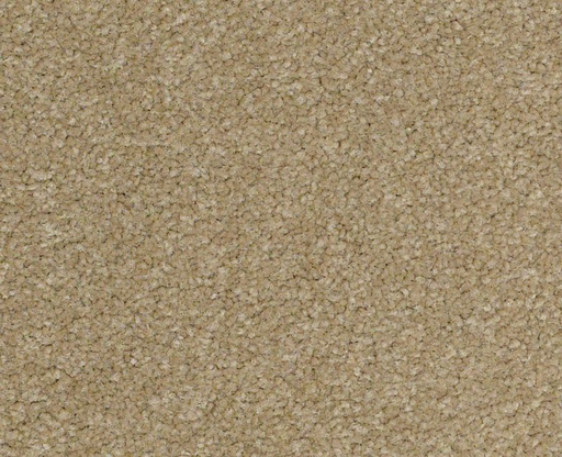Bright Spirit III 12' Sahara 00205