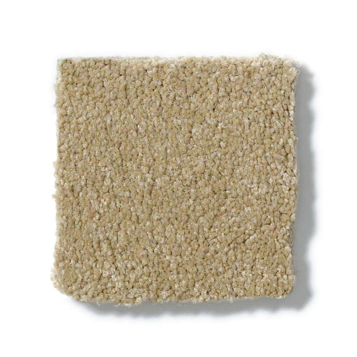 Sophistication 12' Sahara 00205