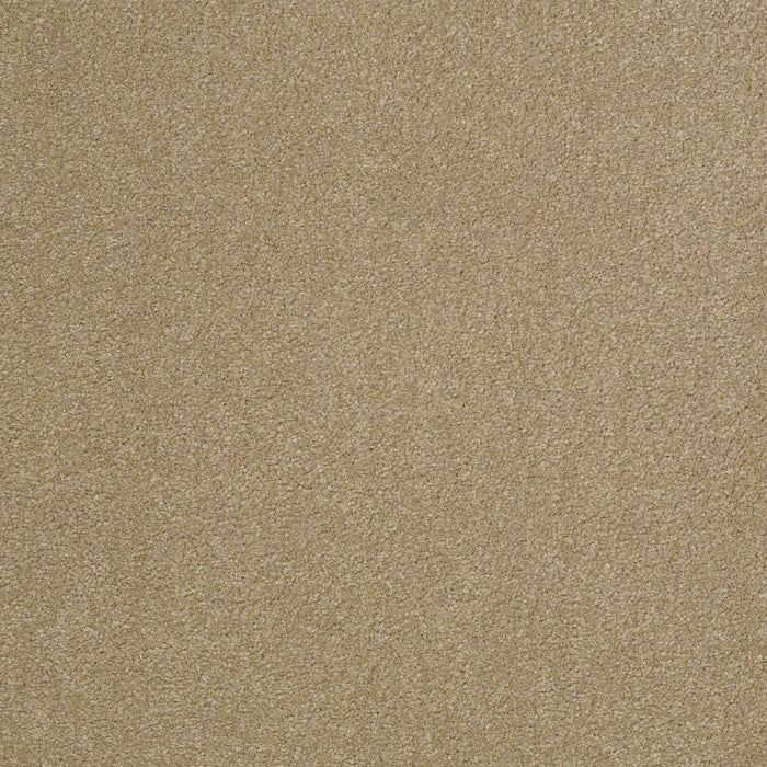 Sophistication 12' Nylon Sahara 00205