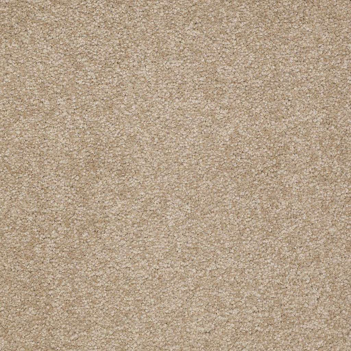 Queen Sandy Hollow I 15' Nylon Sahara 00205