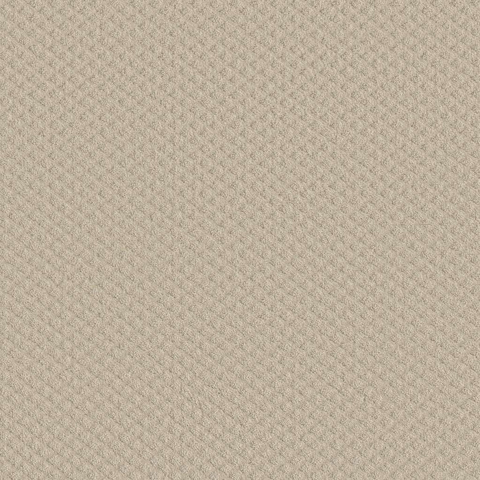 Shaw Floor Studio Best Day Nylon Sand Pebble 00103