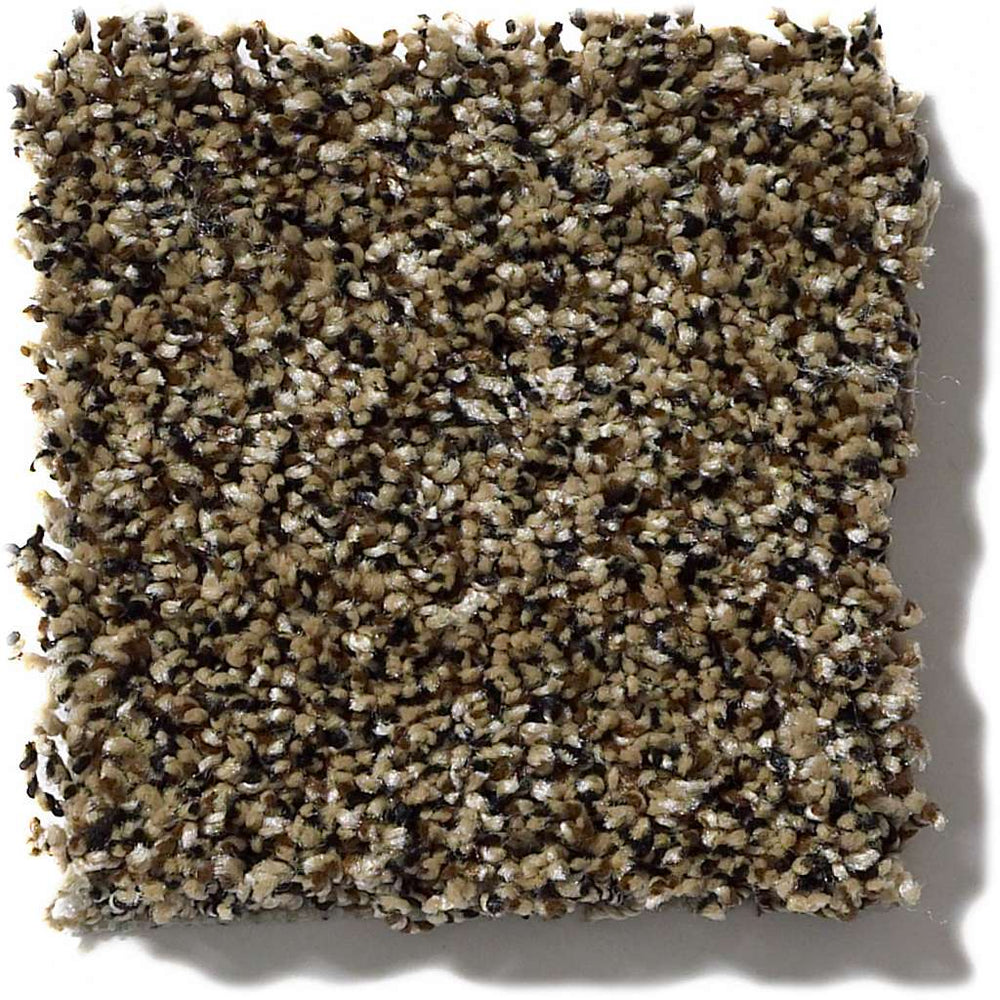 Shaw Simply The Best Because We Can III 15' 00201 Sandpiper Carpet