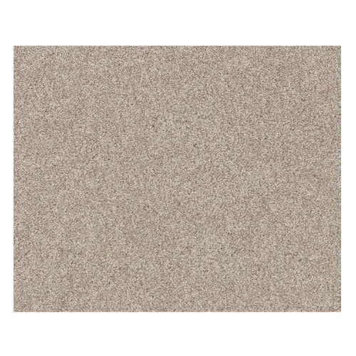 Shaw Seacliff 00743 Sandstone Textured Nylon Carpet | Lowest Price ...