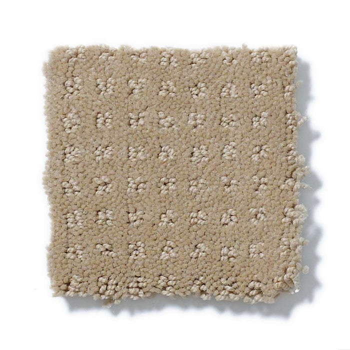 Shaw Nottingham 00733 Sandstone Pattern Nylon Carpet | Lowest Price ...
