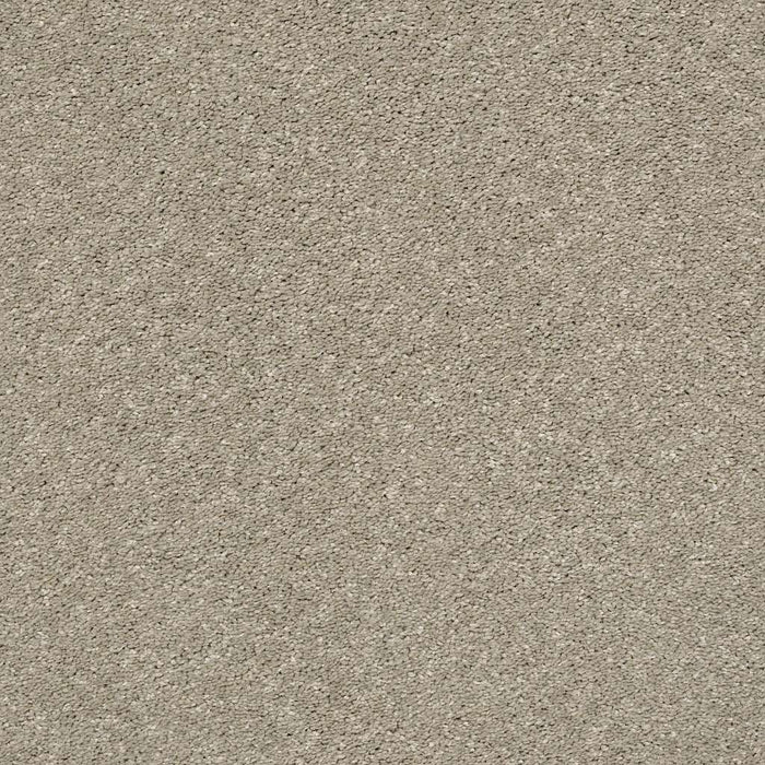 Simply The Best After All II Polyester Sandstone 00723