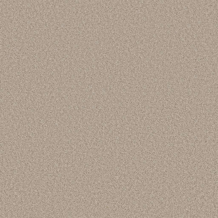 Shaw Foundations Harmonious I 00743 Sandstone Textured Nylon Carpet ...