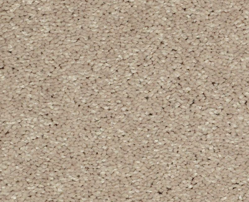 Shaw Main Stay 15' 00104 Sandy Nook Textured Polyester Carpet — Stone ...
