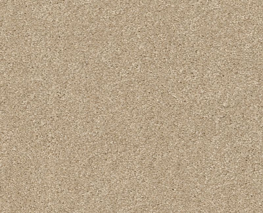 Anso Open II (S) Sandy Shore 00101