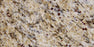 Santa Cecilia Polished Granite Tile - 18" x 18"