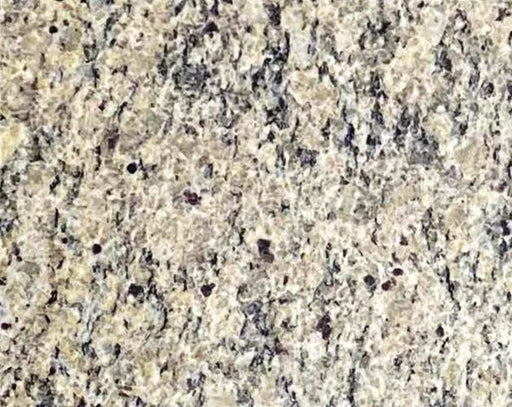 Full Tile Sample - Santa Cecilia Light Granite Tile - 12" x 12" x 3/8" Polished