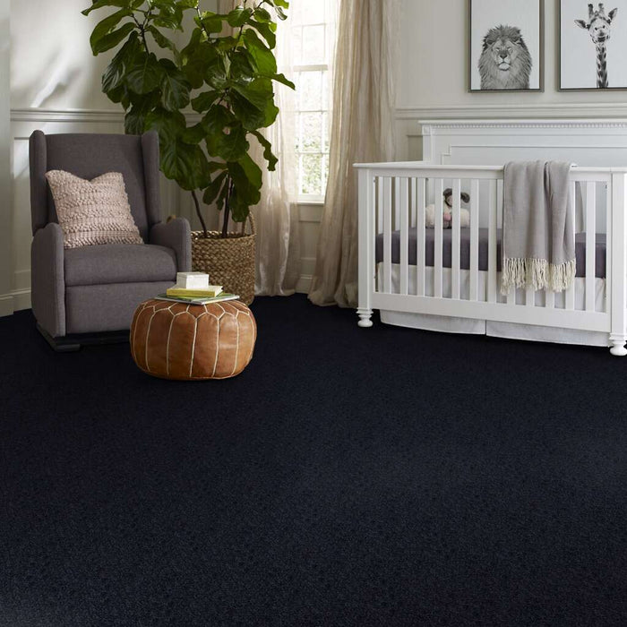 Shaw Floor Studio Home News II 12' Sapphire 00402 Textured Polyester