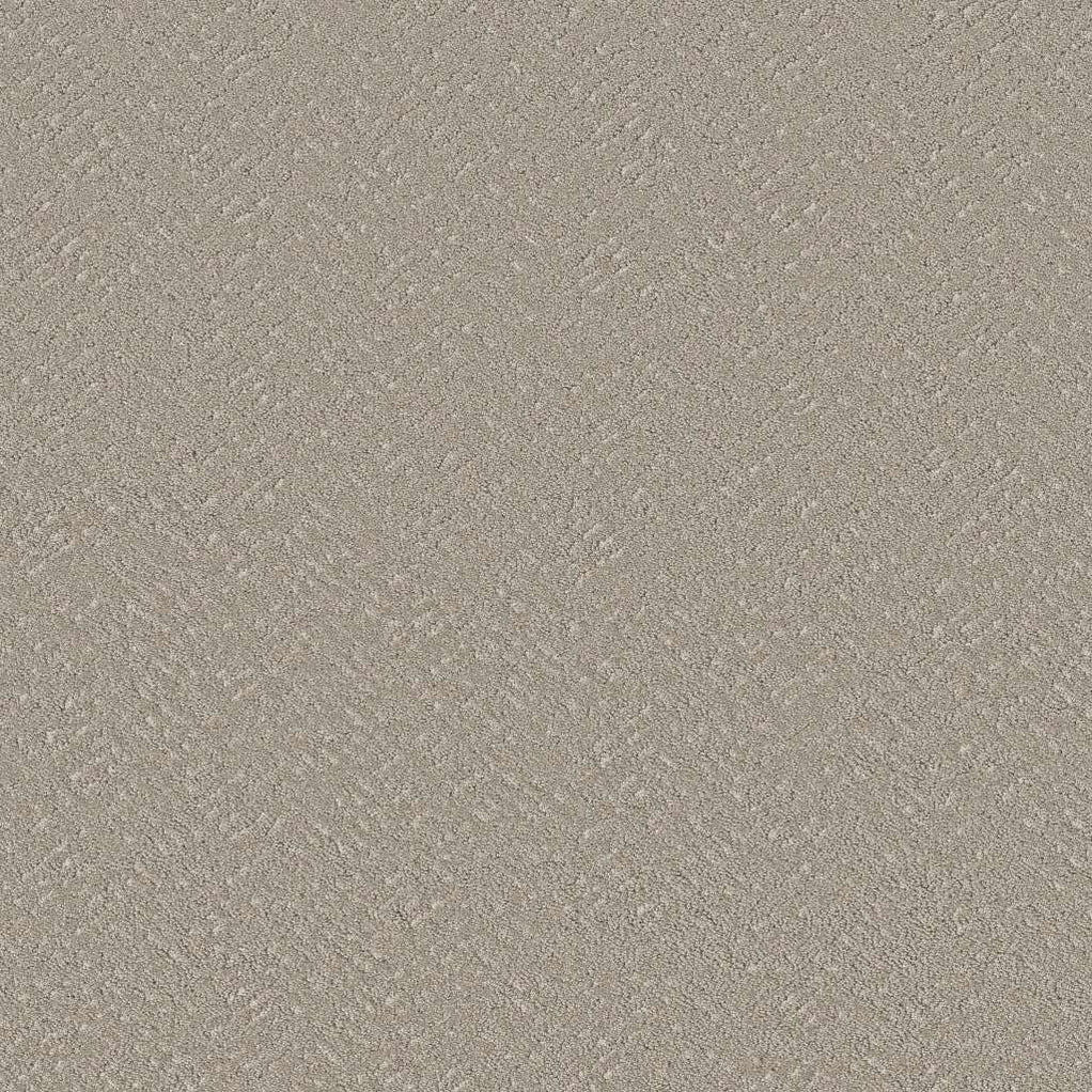 Shaw Pet Perfect Favoured Path 00115 Sculpture Polyester Carpet — Stone