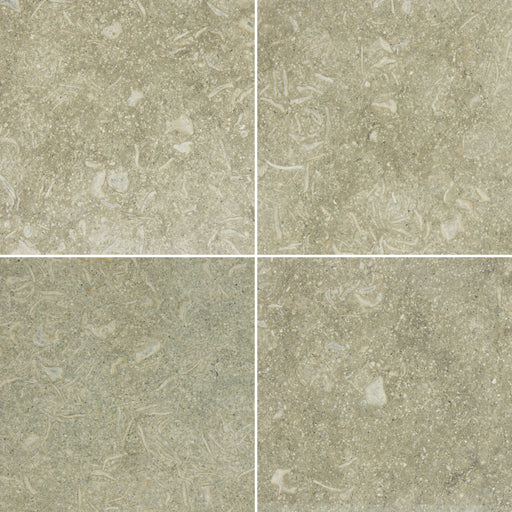 Full Tile Sample - Sea Grass Limestone Tile - 3" x 6" Tumbled