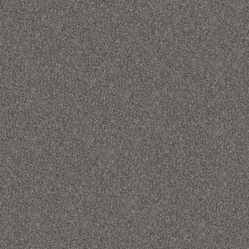 Pet Perfect Yes You Can I 12' Sea Ice 00403