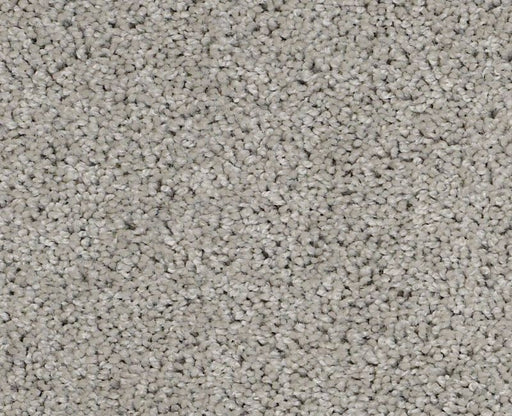 Orlando PV Sea Salt 00512