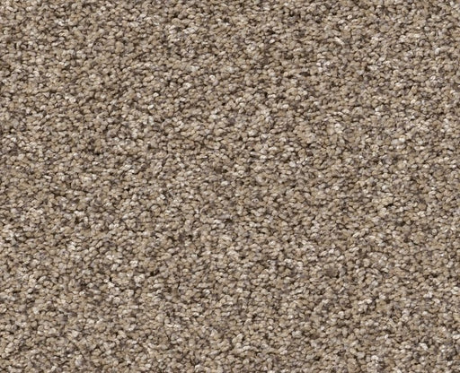 Pet Perfect Yes You Can II 15' Sea Shell 00100