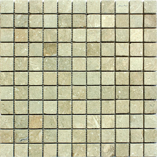Sea Grass Limestone Mosaic - 1" x 1" Tumbled