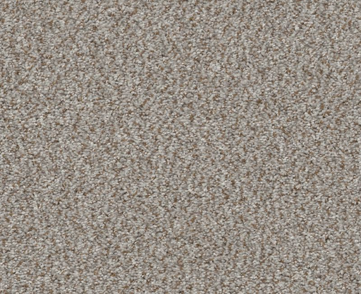 Marina I Seashell 00151