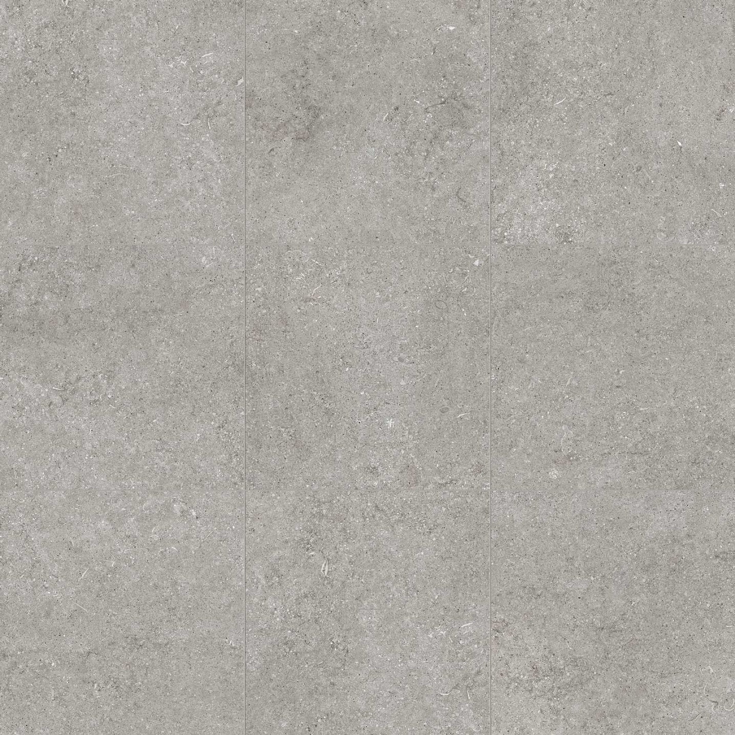 Sensi Grey Fossil Natural Porcelain Tile | Lowest Price — Stone & Tile ...