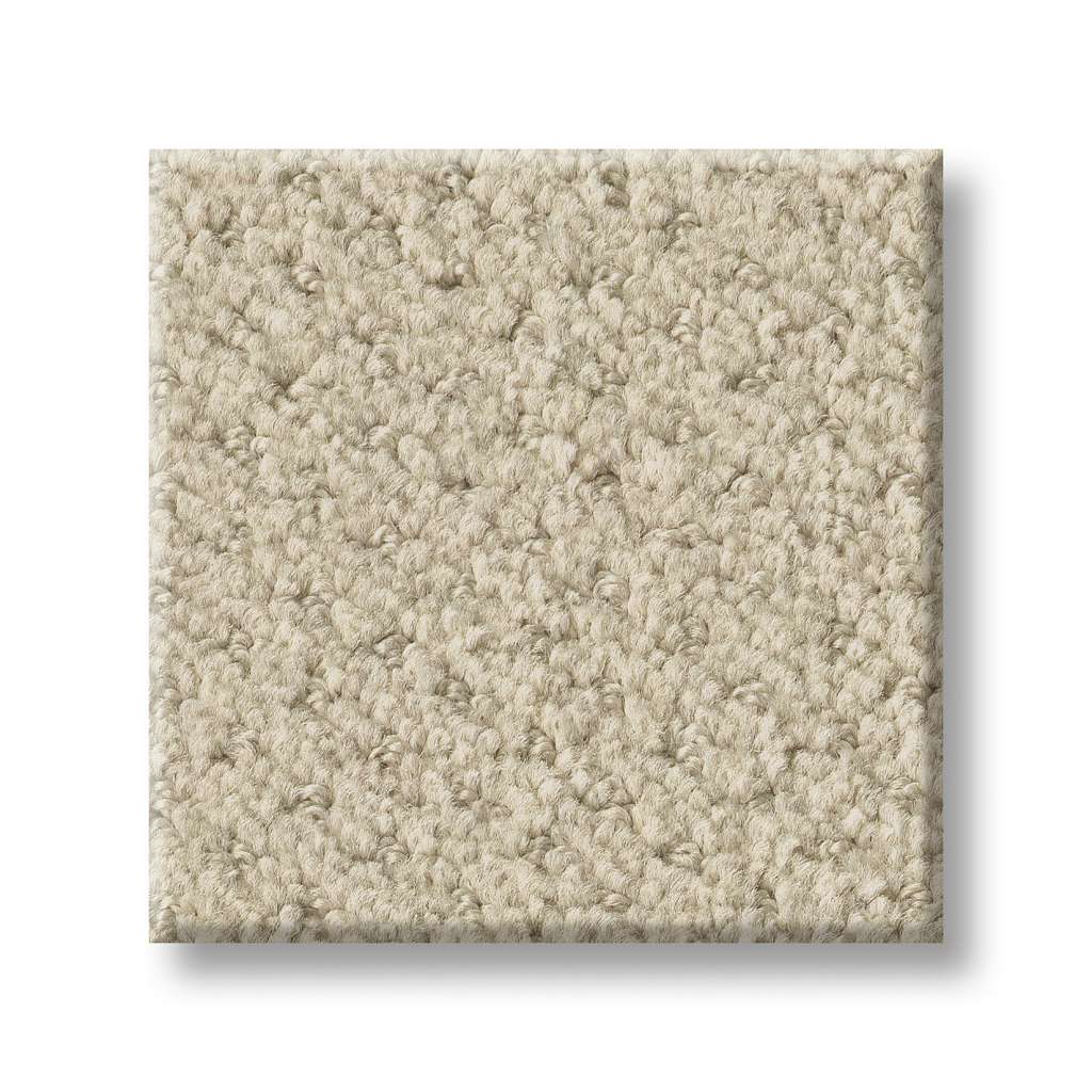 Shaw Foundations Infallible Instinct 00183 Sentimental Nylon Carpet