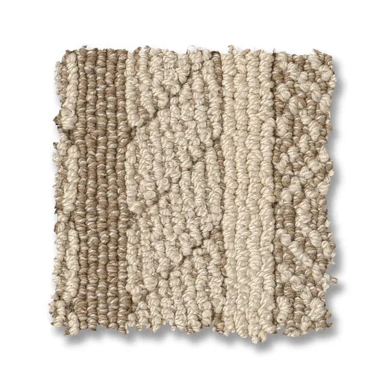 Anderson Tuftex Pet Perfect Speak 00213 Sesame Loop Nylon Carpet