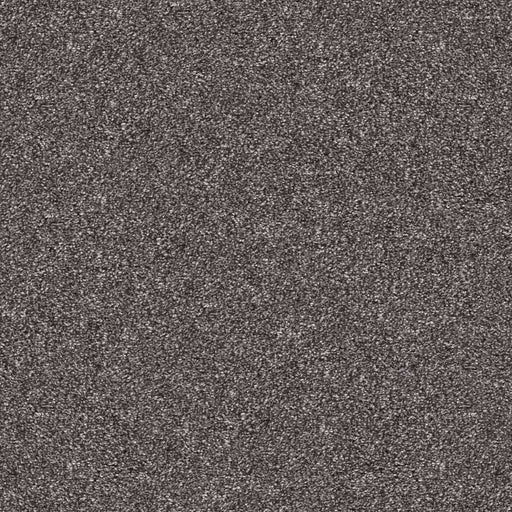 Pet Perfect Yes You Can I 12' Shadow 00502