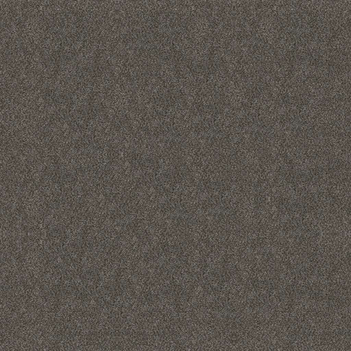 Simply The Best Boundless II Shadow 00703