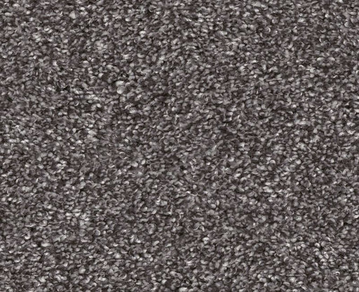 Yes You Can Ada II 15' Shadow 00502