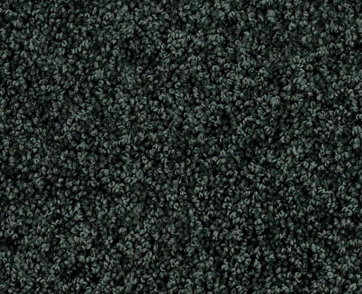 Orlando PV Shamrock 00361