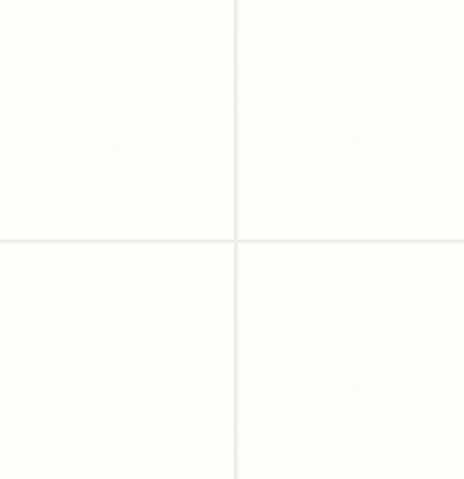 Shandar Plain White WHI